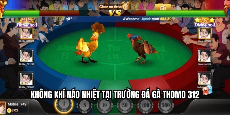 Không khí náo nhiệt tại trường đá gà Thomo 312